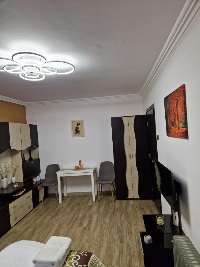 Garsoniera Apartment Băile Herculane Exterior foto